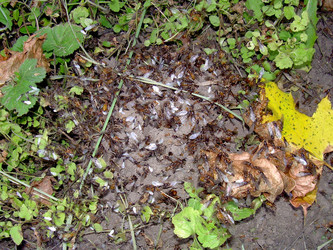 Similar image 22070482