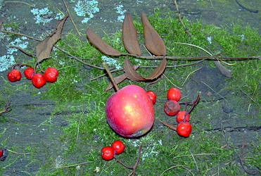 Similar image 22070483