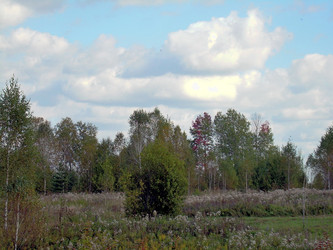 Similar image 22070487