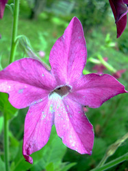 Similar image 22070488