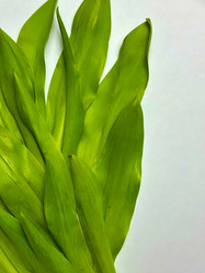 Similar image 22071571