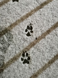 Similar image 22070502