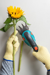 Similar image 22081102