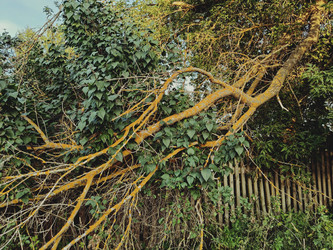 Similar image 22072443