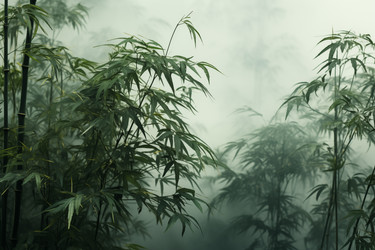 Similar image 22078471