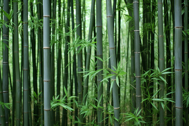 Similar image 22078478