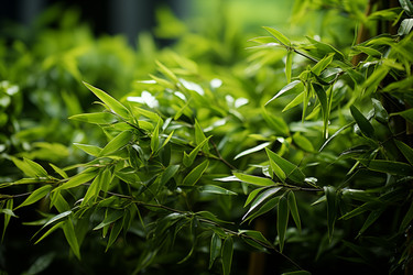 Similar image 22078489