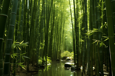 Similar image 22078491