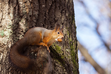 Similar image 22071610