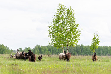 Similar image 22071992