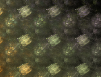 Similar image 22071121