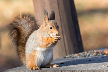 Similar image 22072016