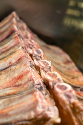 Similar image 22071758