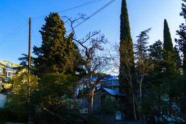 Similar image 22075583