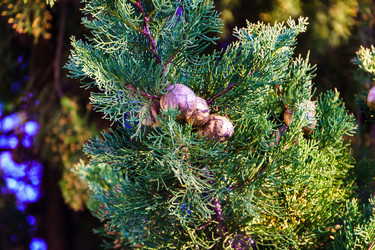 Similar image 22075584