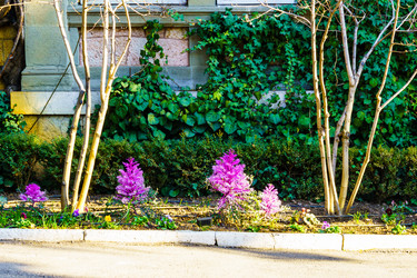 Similar image 22075588