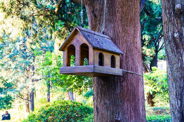 Similar image 22075589