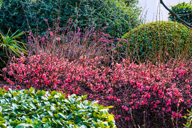 Similar image 22075590