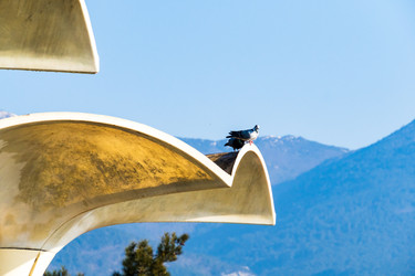 Similar image 22076177