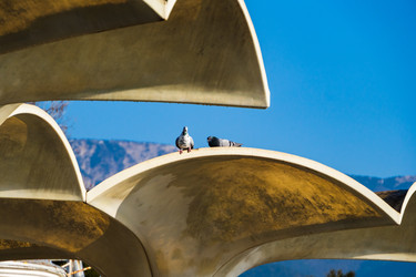 Similar image 22076178