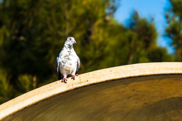 Similar image 22076179