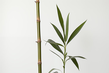 Similar image 22078513