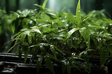 Similar image 22078519