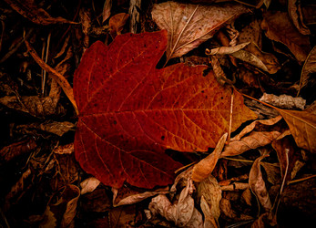 Similar image 22073412