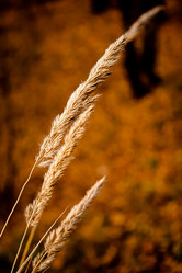 Similar image 22073413