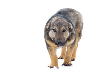 Similar image 22072154