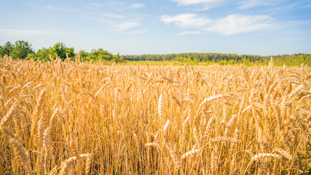 Similar image 22071661