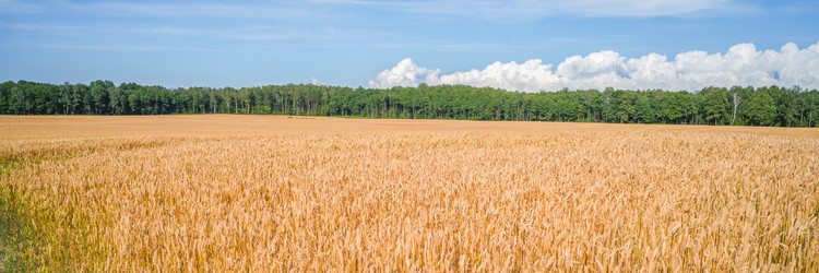 Similar image 22071665