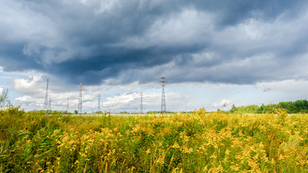 Similar image 22071666