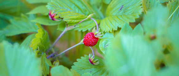 Similar image 22071667