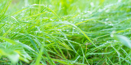 Similar image 22071669