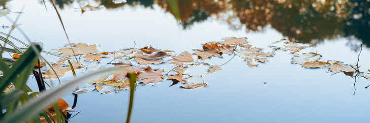 Similar image 22071670