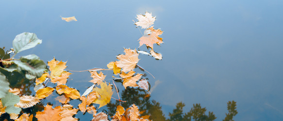 Similar image 22071671