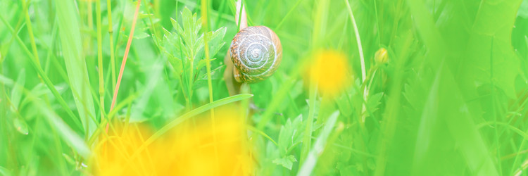 Similar image 22071672