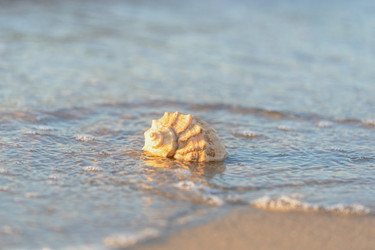 Similar image 22071674