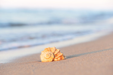 Similar image 22071675