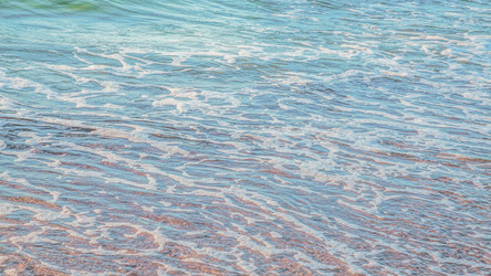 Similar image 22071683