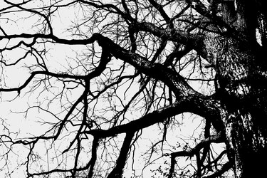 Similar image 22071693