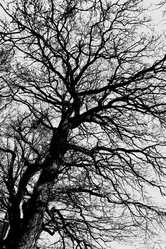 Similar image 22071780