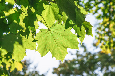 Similar image 22071783