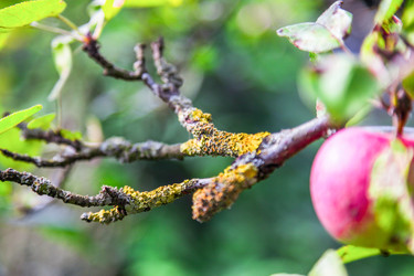 Similar image 22071785