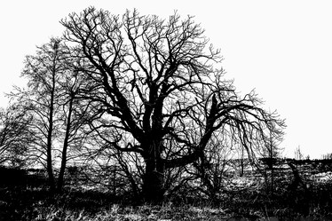 Similar image 22071791