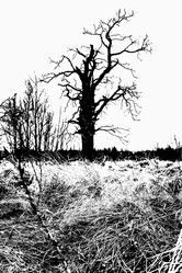 Similar image 22071793