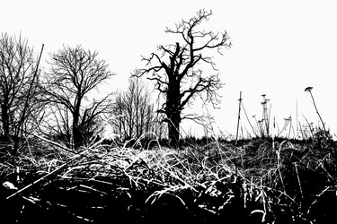 Similar image 22071794