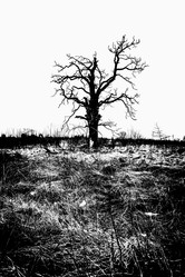 Similar image 22071795