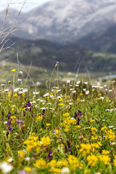 Similar image 22079084